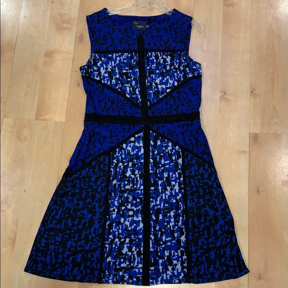Blue and Black Sleevless Dress